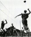 56